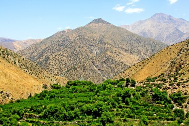 Atlas Dağları