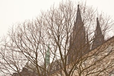 görünümünü st. vitus Katedrali Prag Kalesi, Çek Cumhuriyeti