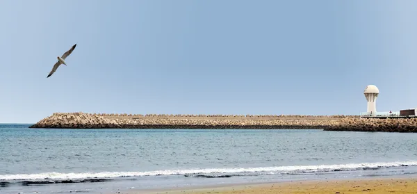 Bella riva dell'oceano con faro sul promontorio — Foto Stock