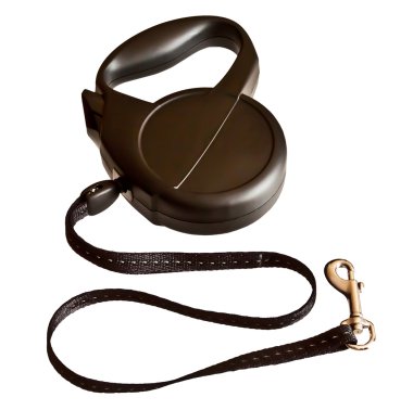 Beyaz arka plan üzerinde izole köpek Retractable kira kontratı