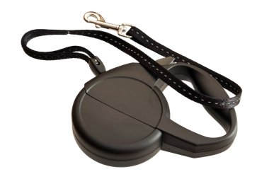 Beyaz arka plan üzerinde izole köpek Retractable kira kontratı