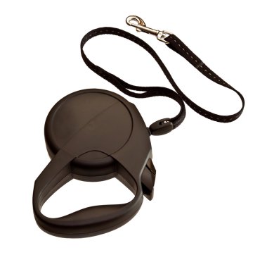 Beyaz arka plan üzerinde izole köpek Retractable kira kontratı