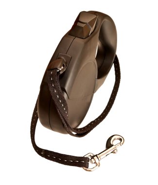 Beyaz arka plan üzerinde izole köpek Retractable kira kontratı