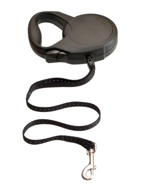Beyaz arka plan üzerinde izole köpek Retractable kira kontratı