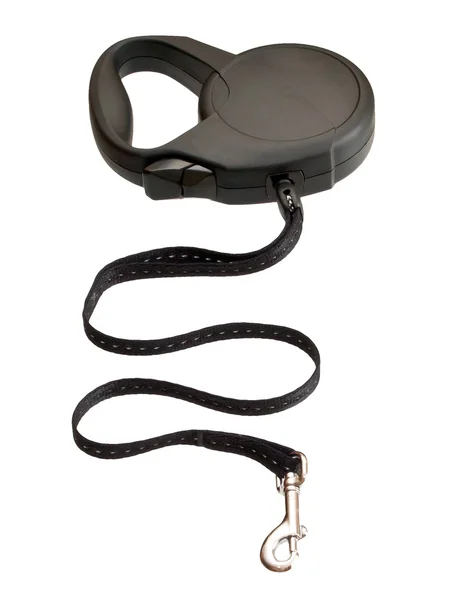 Beyaz arka plan üzerinde izole köpek Retractable kira kontratı