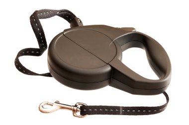 Beyaz arka plan üzerinde izole köpek Retractable kira kontratı