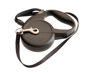 Beyaz arka plan üzerinde izole köpek Retractable kira kontratı