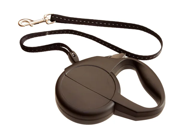 Beyaz arka plan üzerinde izole köpek Retractable kira kontratı