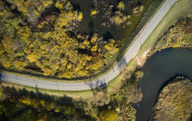 Ormandaki yolun havadan görünüşü.