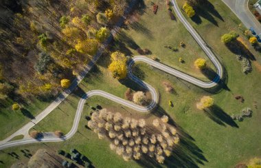 Parkta bisiklet yolu var. Ekosistem ve sağlıklı çevre kavramları ve geçmişi.