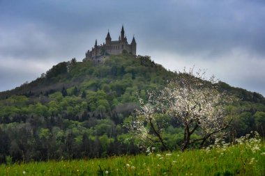 Hüzünlü yağmurlu bir günde beyaz çiçeklerden bir ağaçla Hohenzollern Kalesi manzarası. Kalenin karanlık güçleri ve iyiliğin aydınlık güçleri..