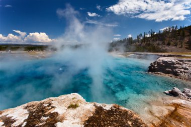 Yellowstone Np