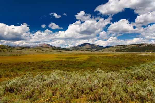 Yellowstone Np — Zdjęcie stockowe