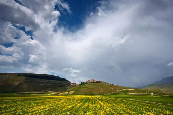 Castelluccio di Norcia — Foto de Stock