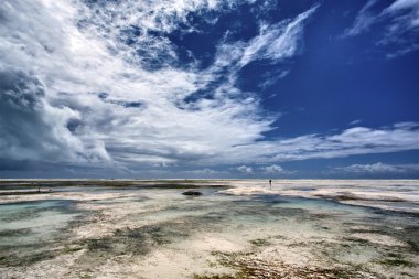Zanzibar güzel plajları