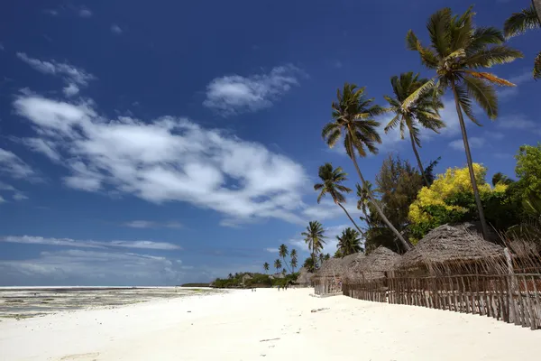 The beautiful beaches of Zanzibar Royalty Free Stock Images