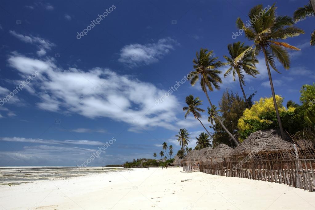 The beautiful beaches of Zanzibar