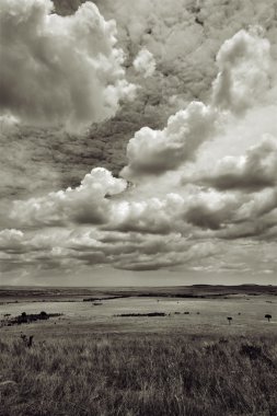 masai mara üzerinde bulutlu gökyüzü