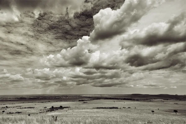 Cloudy sky over the Masai mara — Stock Photo, Image