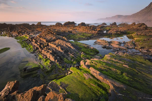 Португальское побережье — стоковое фото