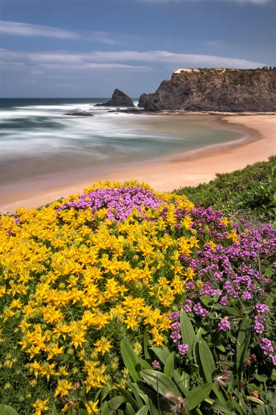 Portuguese coast — Stock Photo, Image