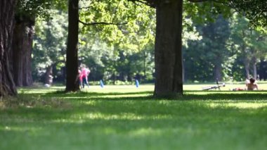 boş zaman yaz etkinliği ve köpek park sahnesinde