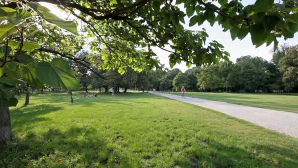 Pan schot in een park op een zomerdag — Stockvideo