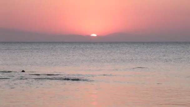 Time lapse from sunrise colored sea with boat — Stock Video