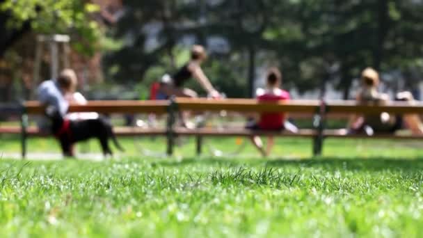 Πάρκο σκηνή σε μια ηλιόλουστη ημέρα — Αρχείο Βίντεο