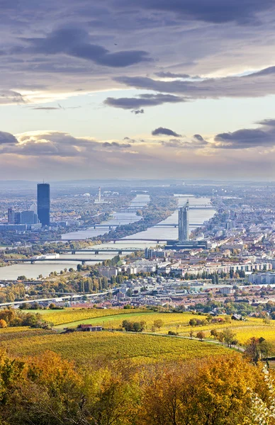 Viyana ve Tuna Cityscape alacakaranlıkta Güz