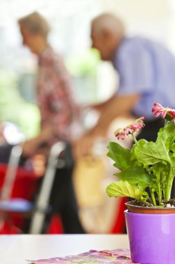 üst düzey iki bir emeklilik evine bir tekerlekli yürüteç kullanılarak içinde