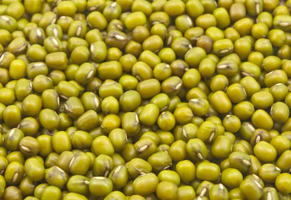 Seeds of green gram — Stock Photo, Image