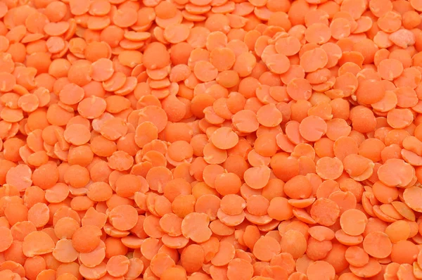 Pulso de lentilha vermelha — Fotografia de Stock