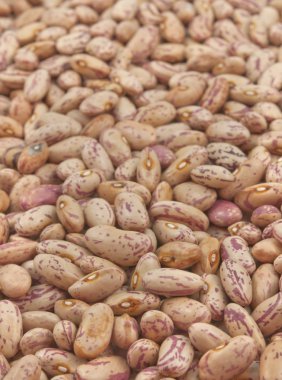 börülce tohumları