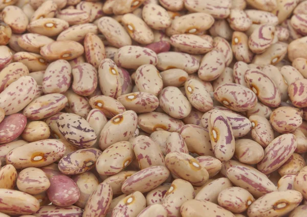 Seeds of kidney bean — Stock Photo, Image