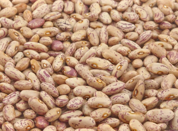 Seeds of kidney bean — Stock Photo, Image