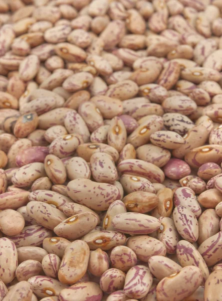 Seeds of kidney bean — Stock Photo, Image