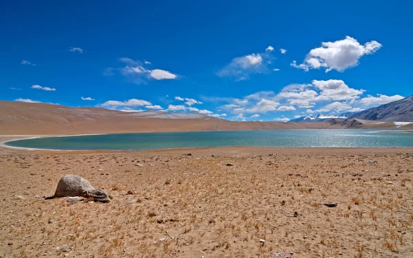 Jezero v poušti — Stock fotografie