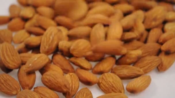 Falling almonds — Stock Video