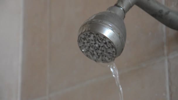 Water uit de douche vallen — Stockvideo