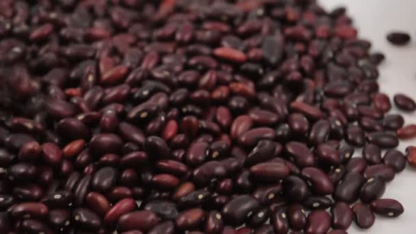 Scattering of red kidney beans — Stock Video