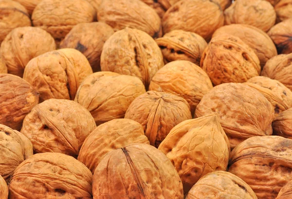 Arranged whole walnuts — Stock Photo, Image