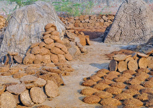Cow dung cakes — Stock Photo, Image