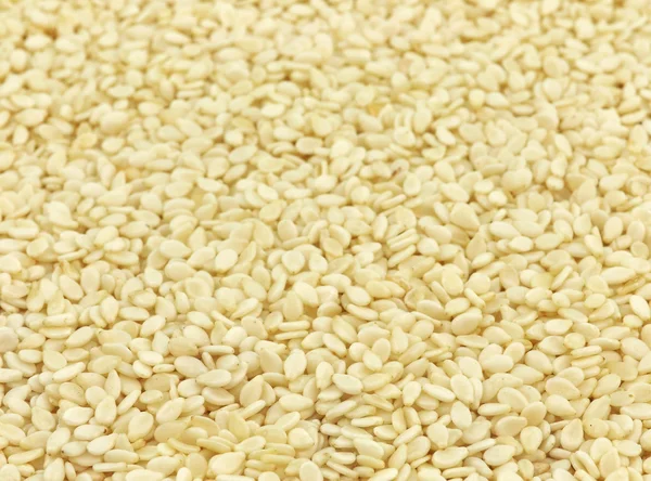 Pilha de sementes de sésamo — Fotografia de Stock