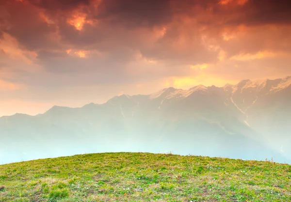 Alpine meadow — Stock Photo, Image