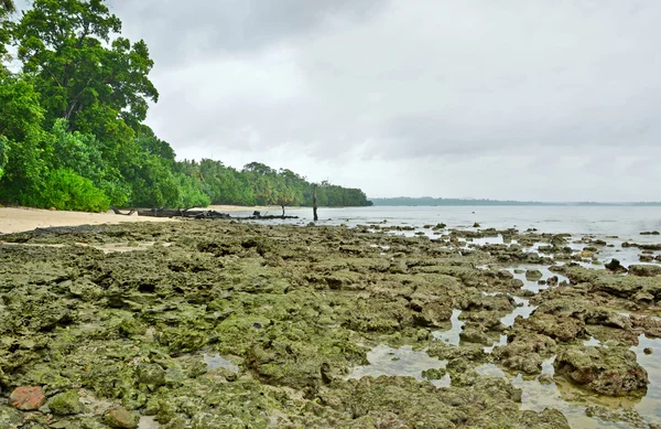 Havskust — Stockfoto