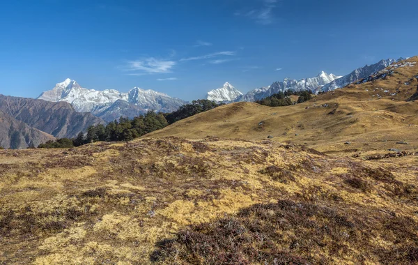 Snow clad peaks and dry alpine meadows — Stock Photo, Image