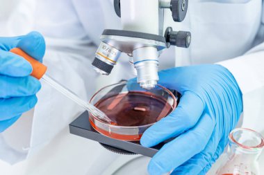 Laboratuvarda mikroskopla çalışan Asyalı biyokimyacı ya da mikrobiyolog. Coronavirus salgınını korumak için. Covid19, bakteri ve mikroplar..