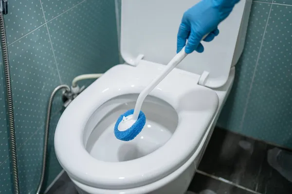 Maid Cleaning Toilet Bowl Brush Bathroom Home — Stock Photo, Image