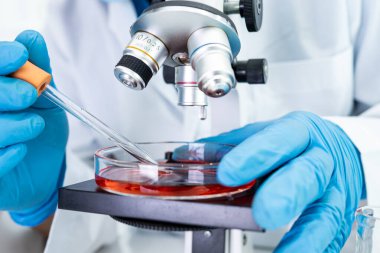 Laboratuvarda mikroskopla çalışan Asyalı biyokimyacı ya da mikrobiyolog. Coronavirus salgınını korumak için. Covid19, bakteri ve mikroplar..